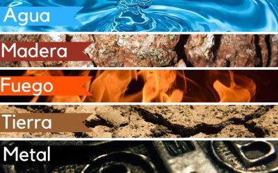 teoría de los 5 Reinos Mutantes