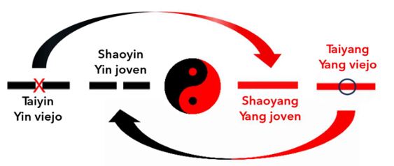 curso I Ching lineas